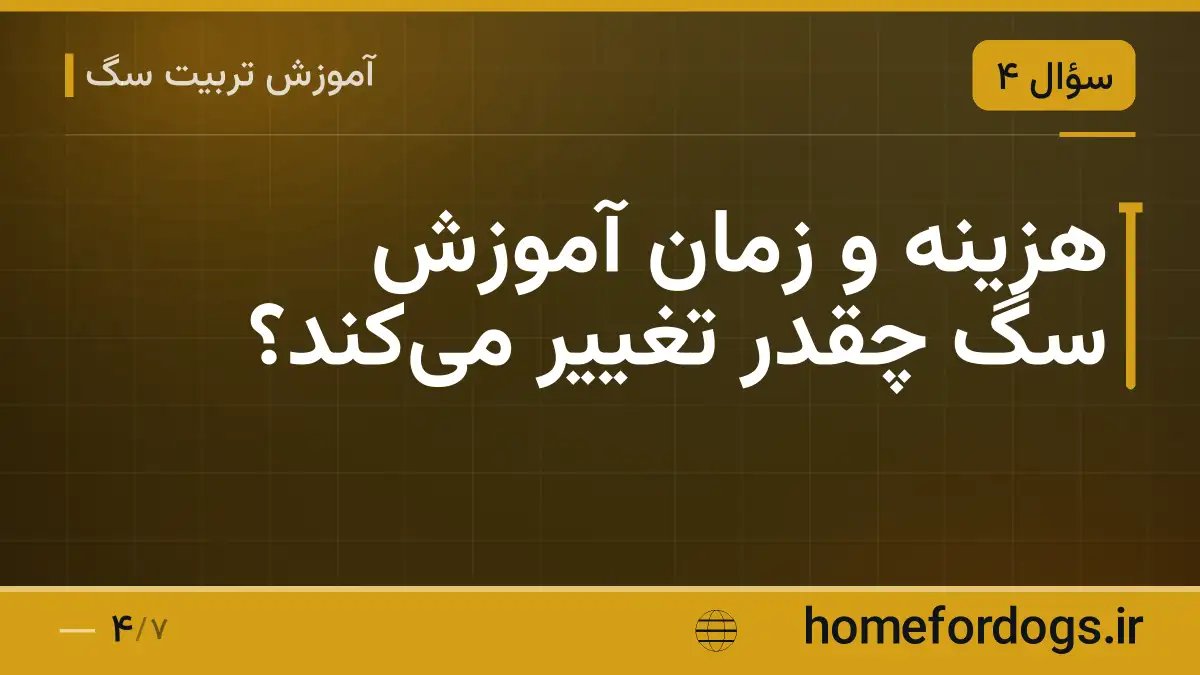 هزینه و زمان آموزش سگ چقدر تغییر می‌کند؟