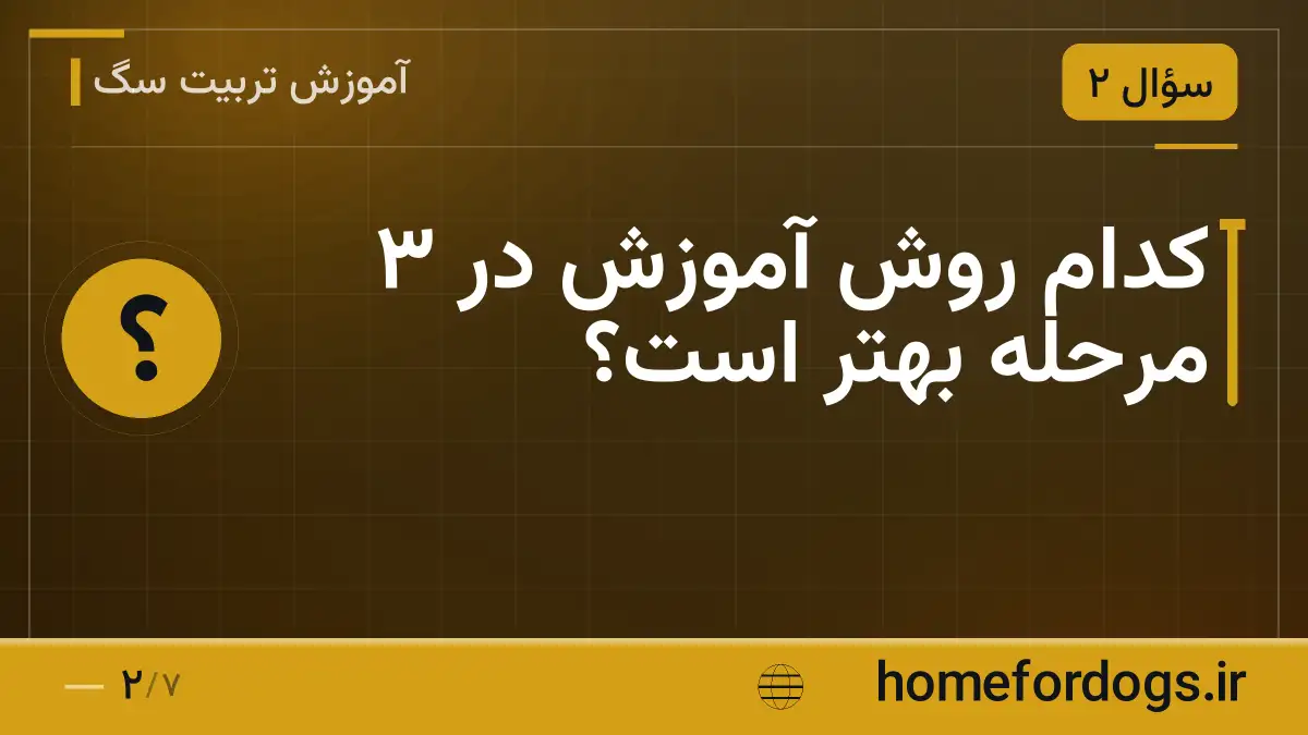 کدام روش آموزش در ۳ مرحله بهتر است؟