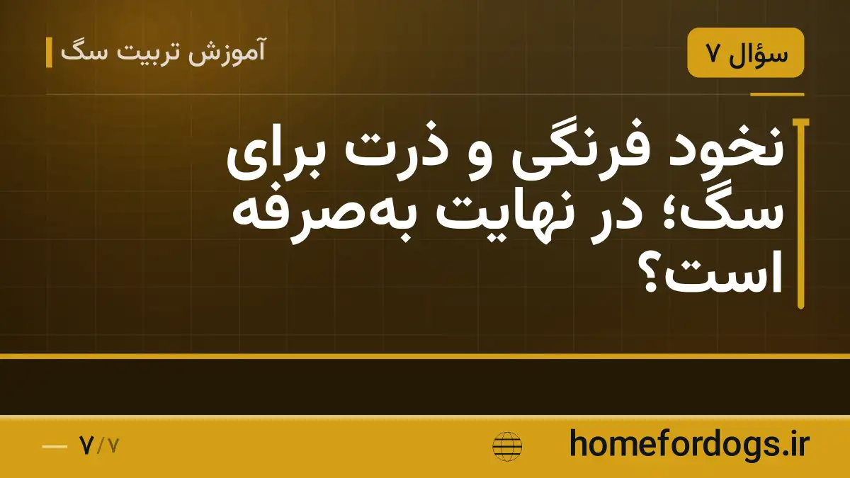 نخود فرنگی و ذرت برای سگ؛ در نهایت به‌صرفه است؟