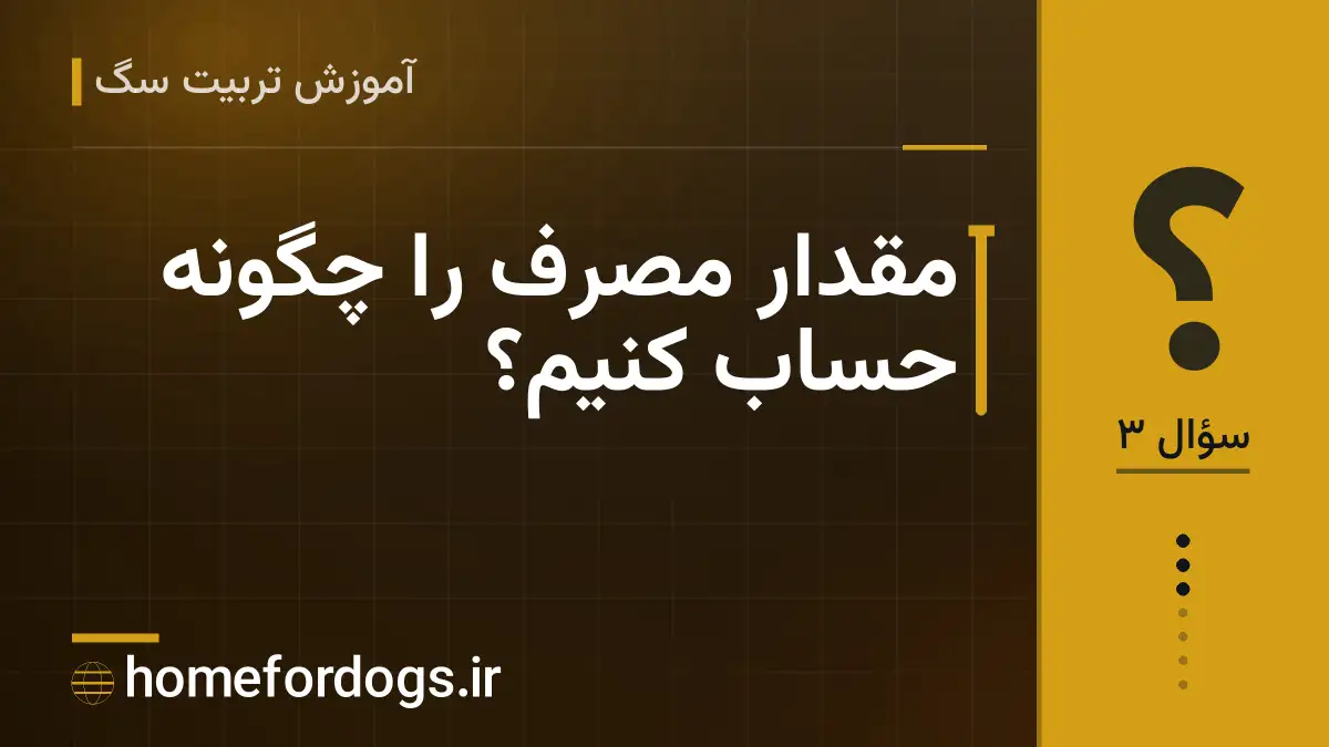 مقدار مصرف را چگونه حساب کنیم؟