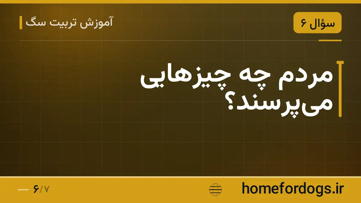 مردم چه چیزهایی می‌پرسند؟