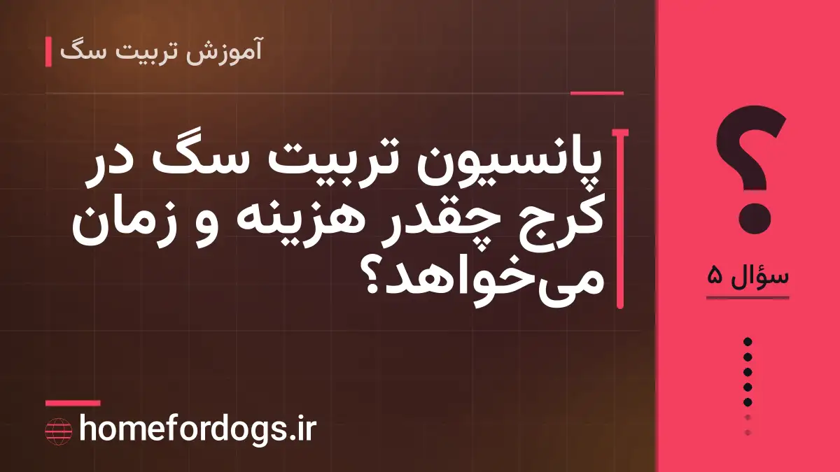 پانسیون تربیت سگ در کرج چقدر هزینه و زمان میخواهد؟