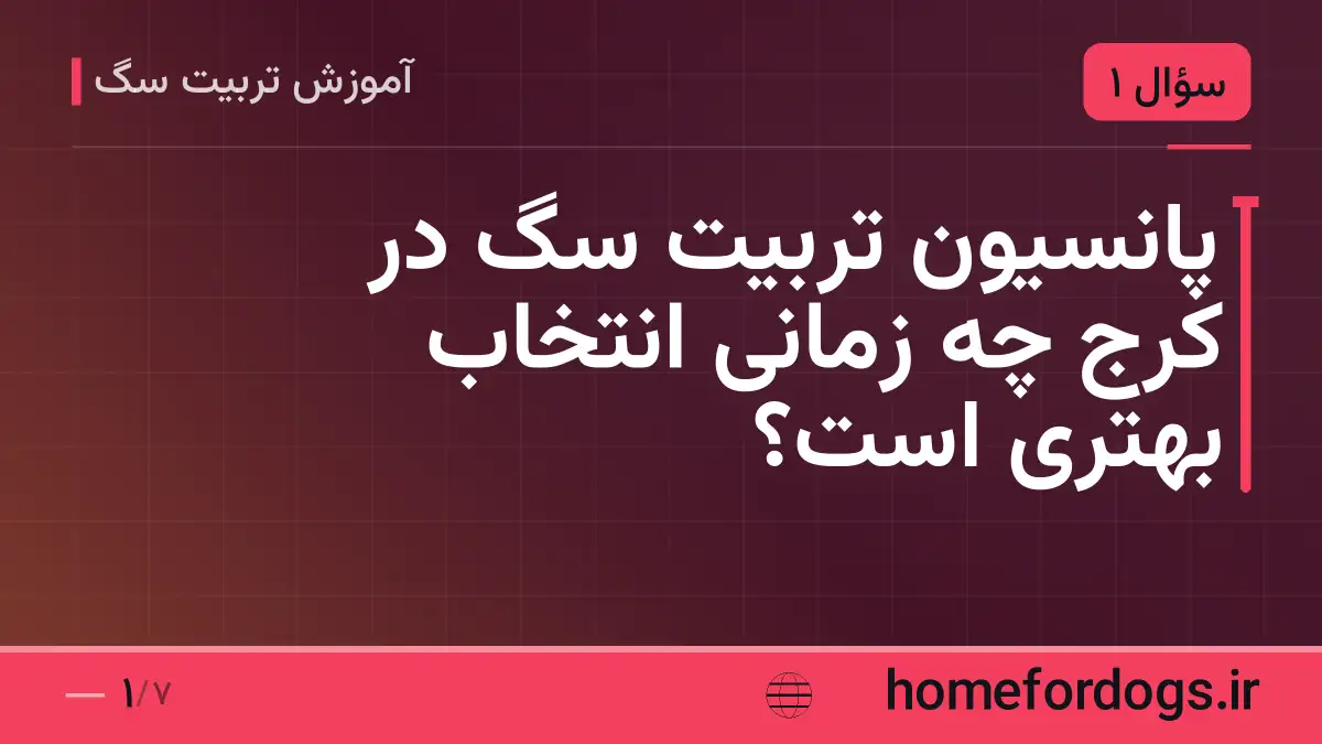 پانسیون تربیت سگ در کرج چه زمانی انتخاب بهتری است؟