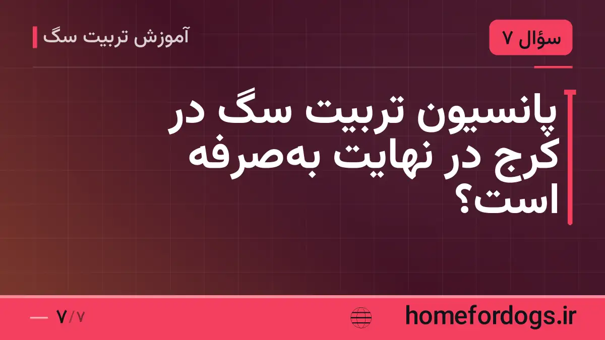 پانسیون تربیت سگ در کرج در نهایت بهصرفه است؟