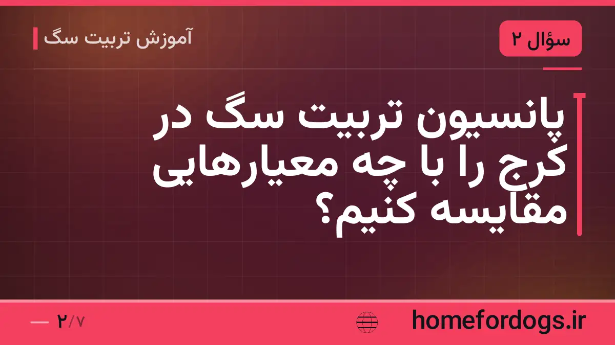 پانسیون تربیت سگ در کرج را با چه معیارهایی مقایسه کنیم؟