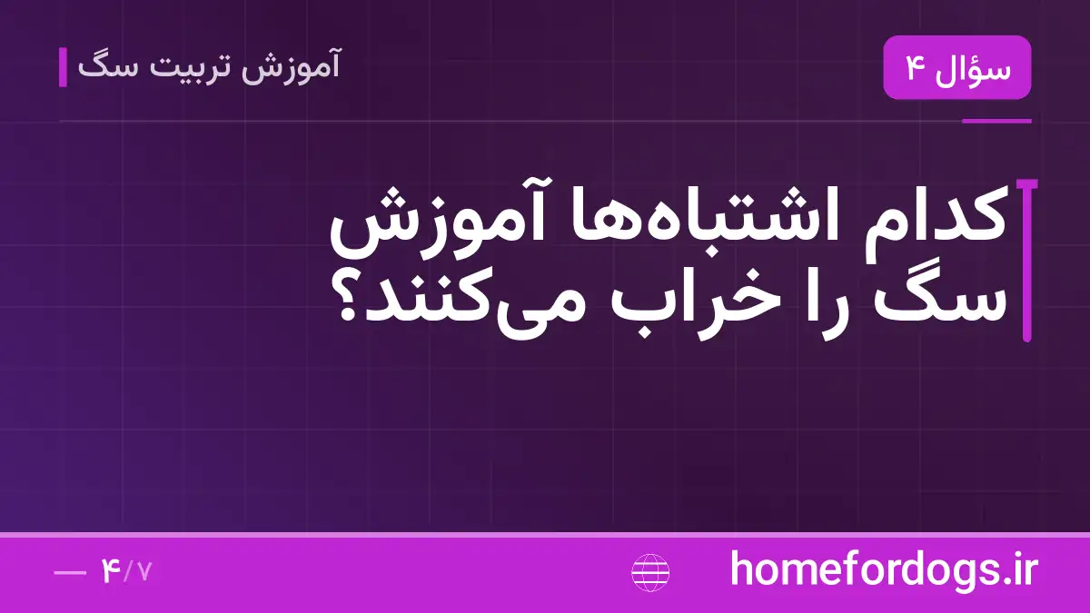 کدام اشتباهها آموزش سگ را خراب میکنند؟