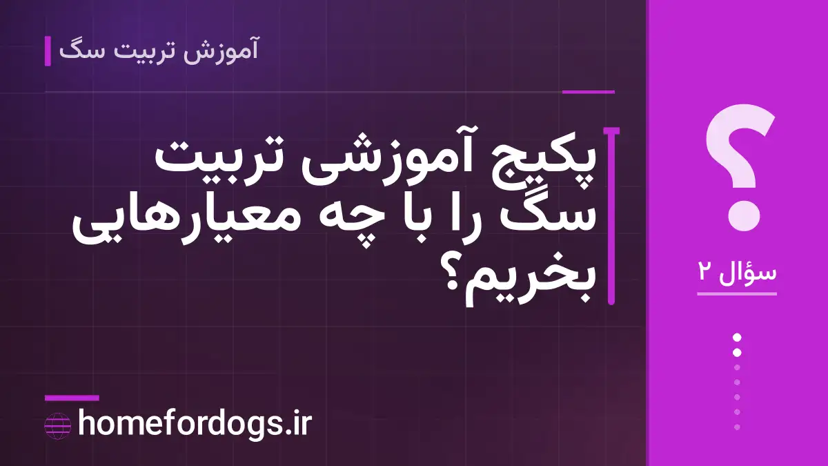 پکیج آموزشی تربیت سگ را با چه معیارهایی بخریم؟