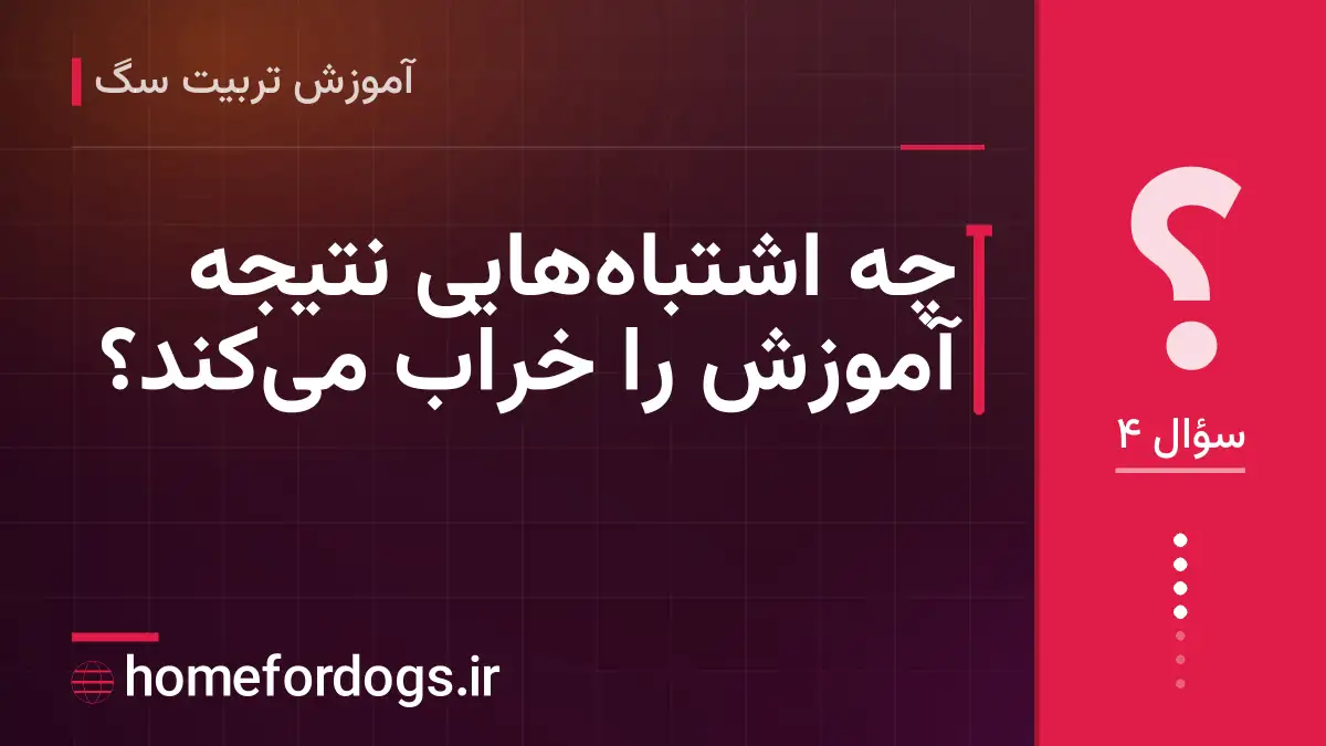 چه اشتباههایی نتیجه آموزش را خراب میکند؟