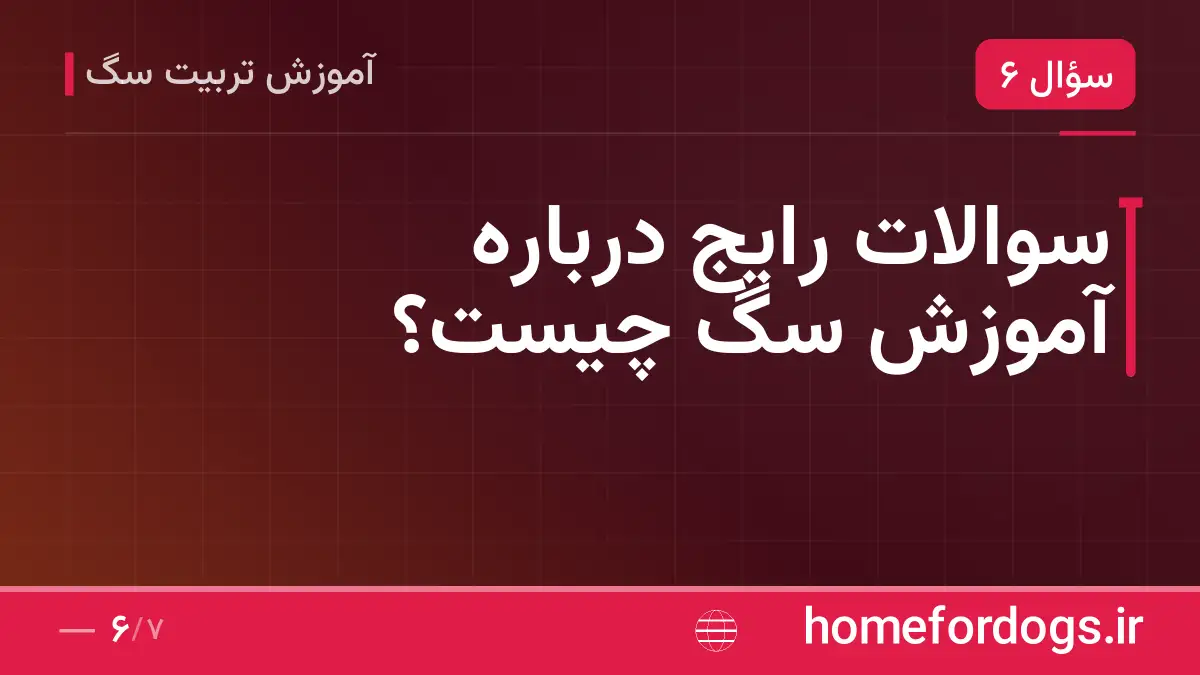 سوالات رایج درباره آموزش سگ چیست؟