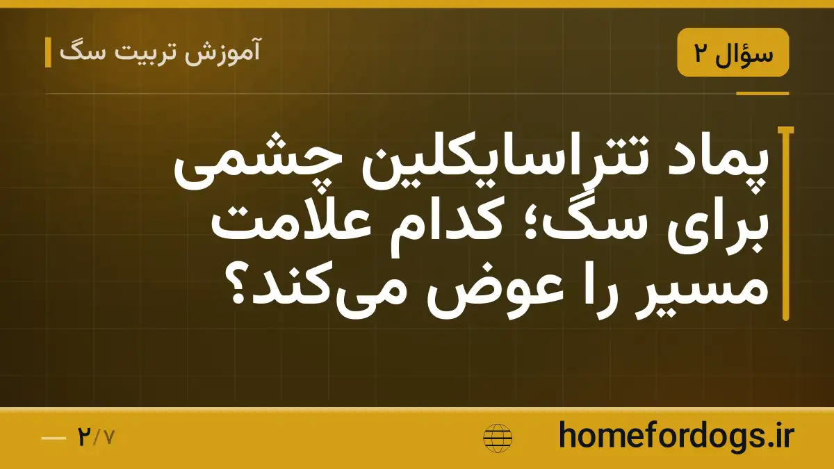 پماد تتراسایکلین چشمی برای سگ؛ کدام علامت مسیر را عوض می‌کند؟