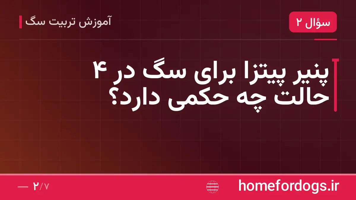 پنیر پیتزا برای سگ در ۴ حالت چه حکمی دارد؟