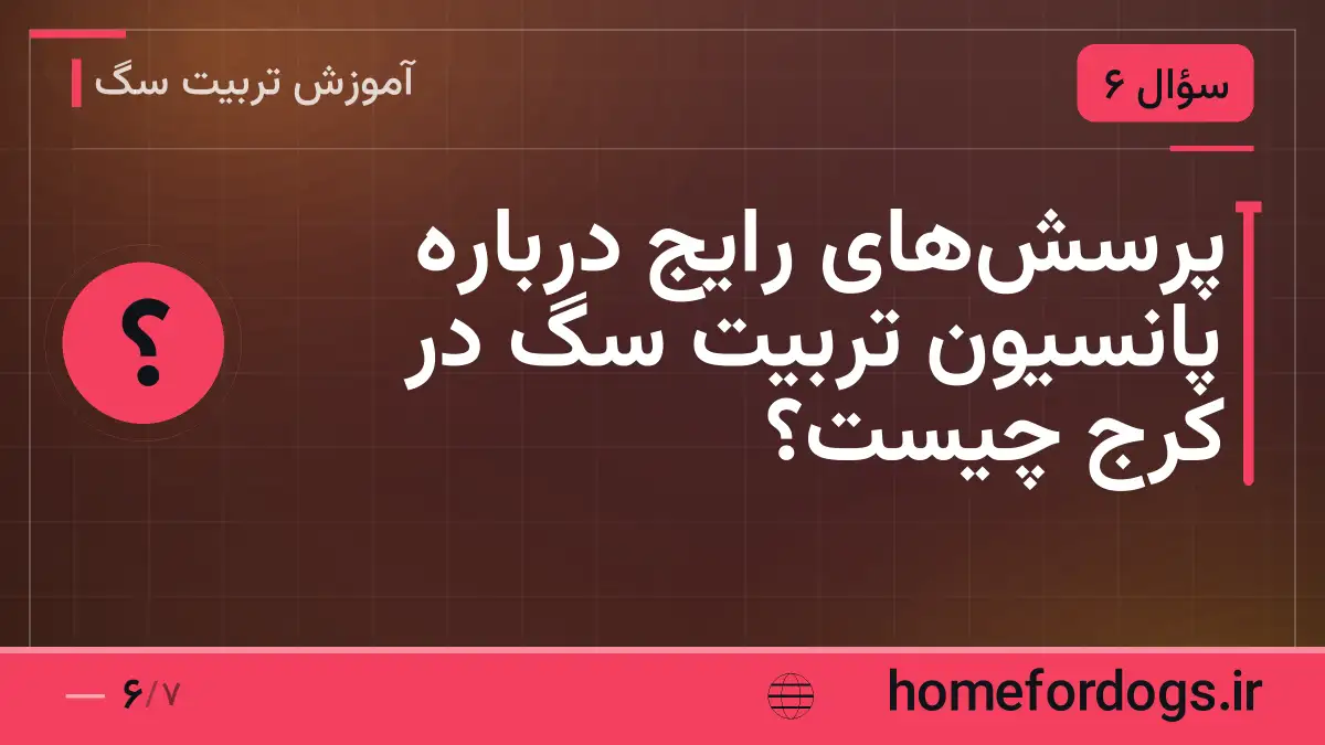 پرسشهای رایج درباره پانسیون تربیت سگ در کرج چیست؟