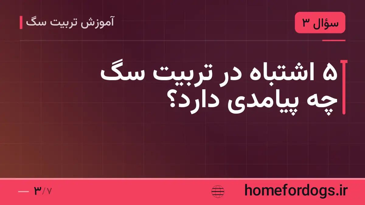۵ اشتباه در تربیت سگ چه پیامدی دارد؟