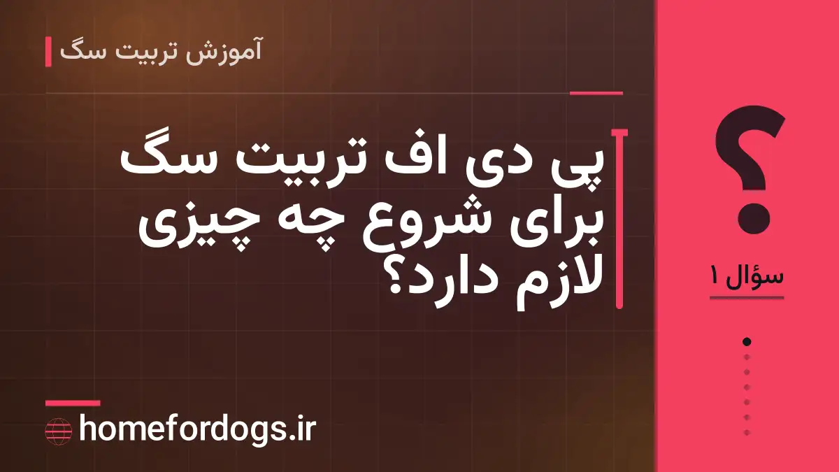 پی دی اف تربیت سگ برای شروع چه چیزی لازم دارد؟