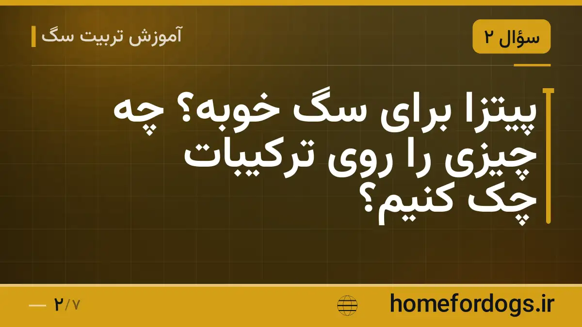 پیتزا برای سگ خوبه؟ چه چیزی را روی ترکیبات چک کنیم؟