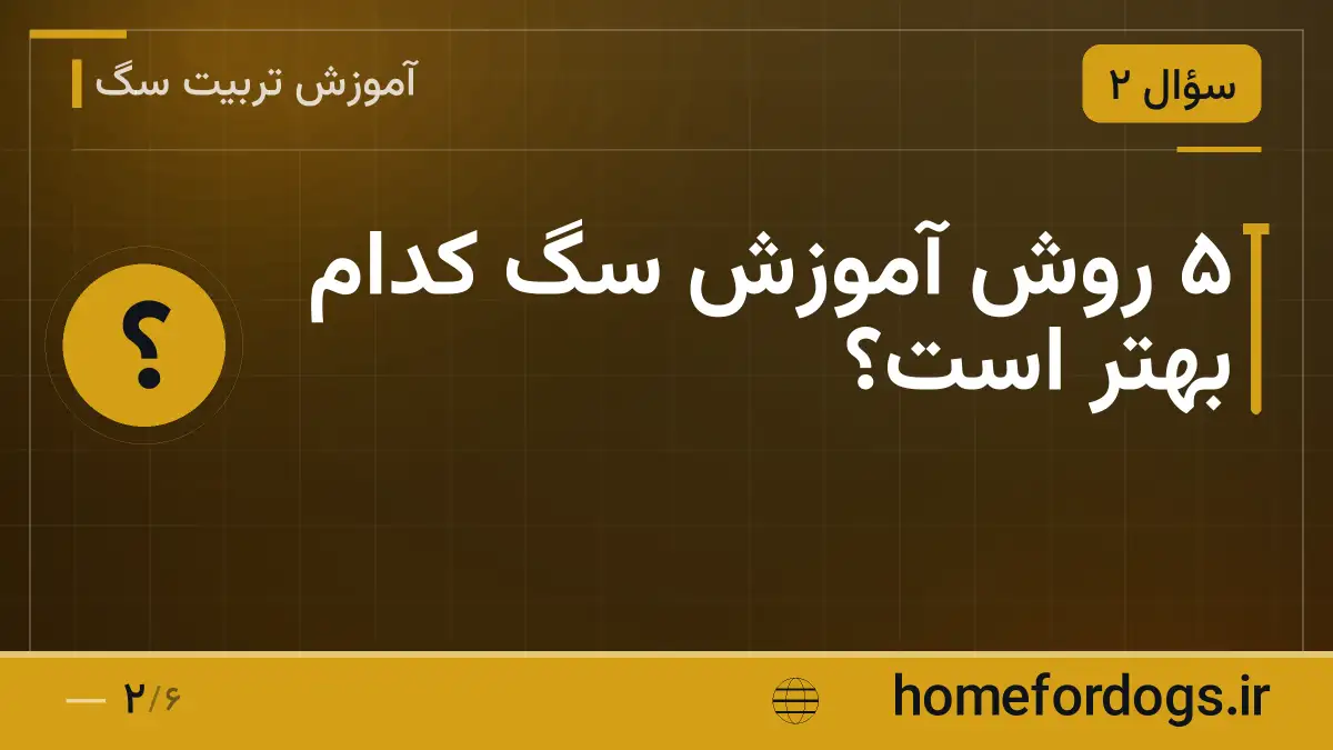 ۵ روش آموزش سگ کدام بهتر است؟