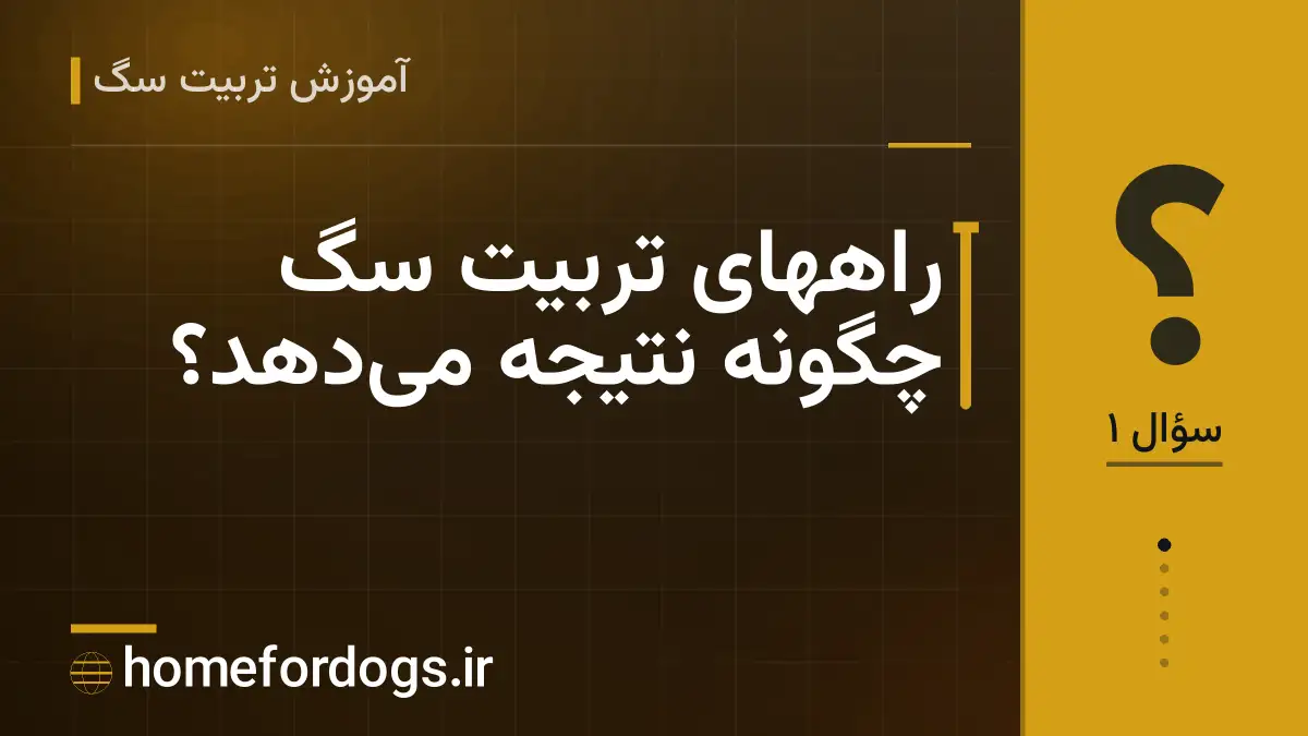 راههای تربیت سگ چگونه نتیجه می‌دهد؟
