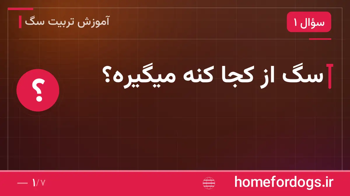 سگ از کجا کنه میگیره؟