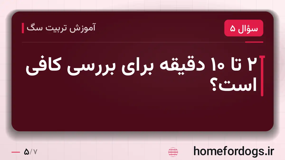 ۲ تا ۱۰ دقیقه برای بررسی کافی است؟