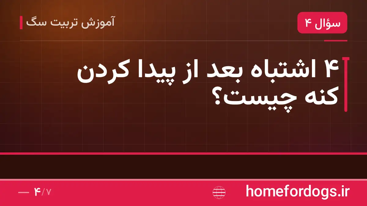 ۴ اشتباه بعد از پیدا کردن کنه چیست؟