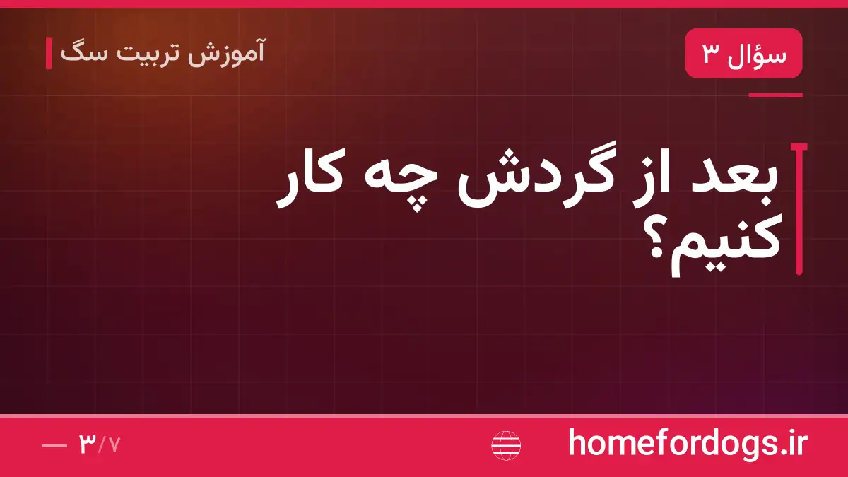 بعد از گردش چه کار کنیم؟