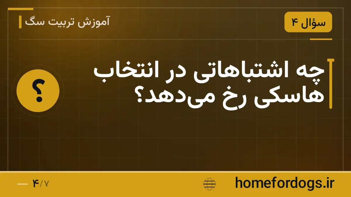 چه اشتباهاتی در انتخاب هاسکی رخ می‌دهد؟