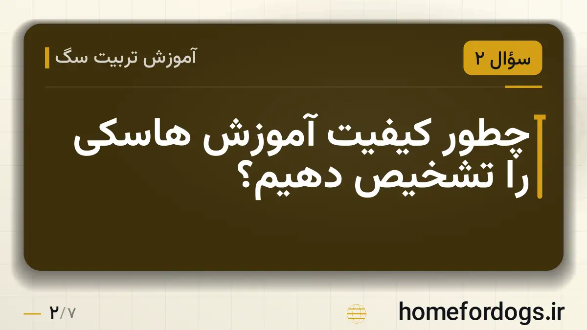 چطور کیفیت آموزش هاسکی را تشخیص دهیم؟