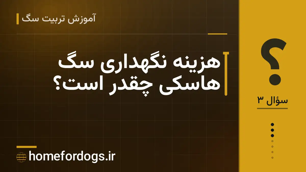 هزینه نگهداری سگ هاسکی چقدر است؟