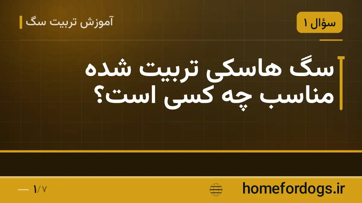 سگ هاسکی تربیت شده مناسب چه کسی است؟