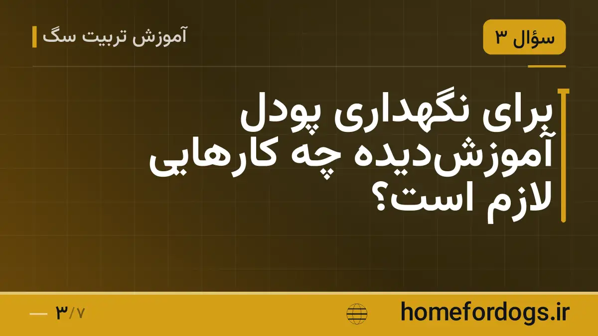 برای نگهداری پودل آموزشدیده چه کارهایی لازم است؟