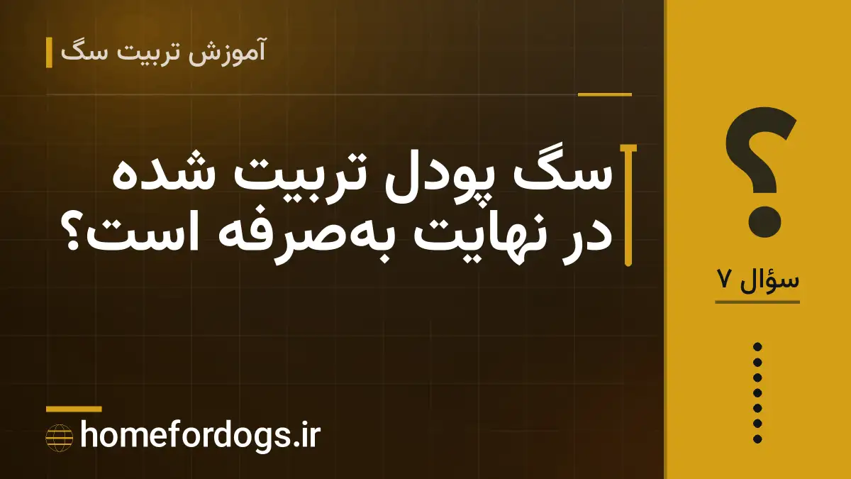سگ پودل تربیت شده در نهایت بهصرفه است؟