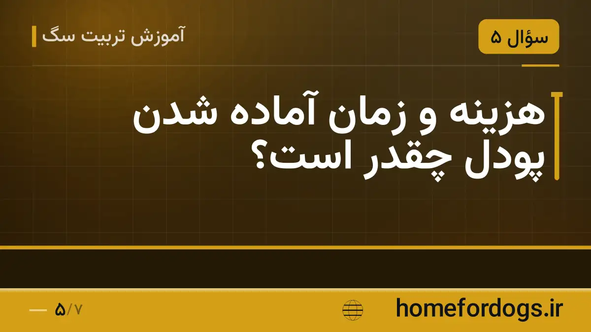 هزینه و زمان آماده شدن پودل چقدر است؟