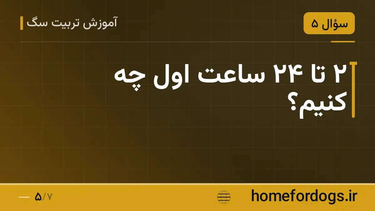 ۲ تا ۲۴ ساعت اول چه کنیم؟