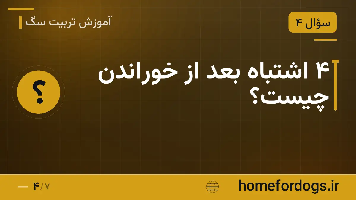 ۴ اشتباه بعد از خوراندن چیست؟