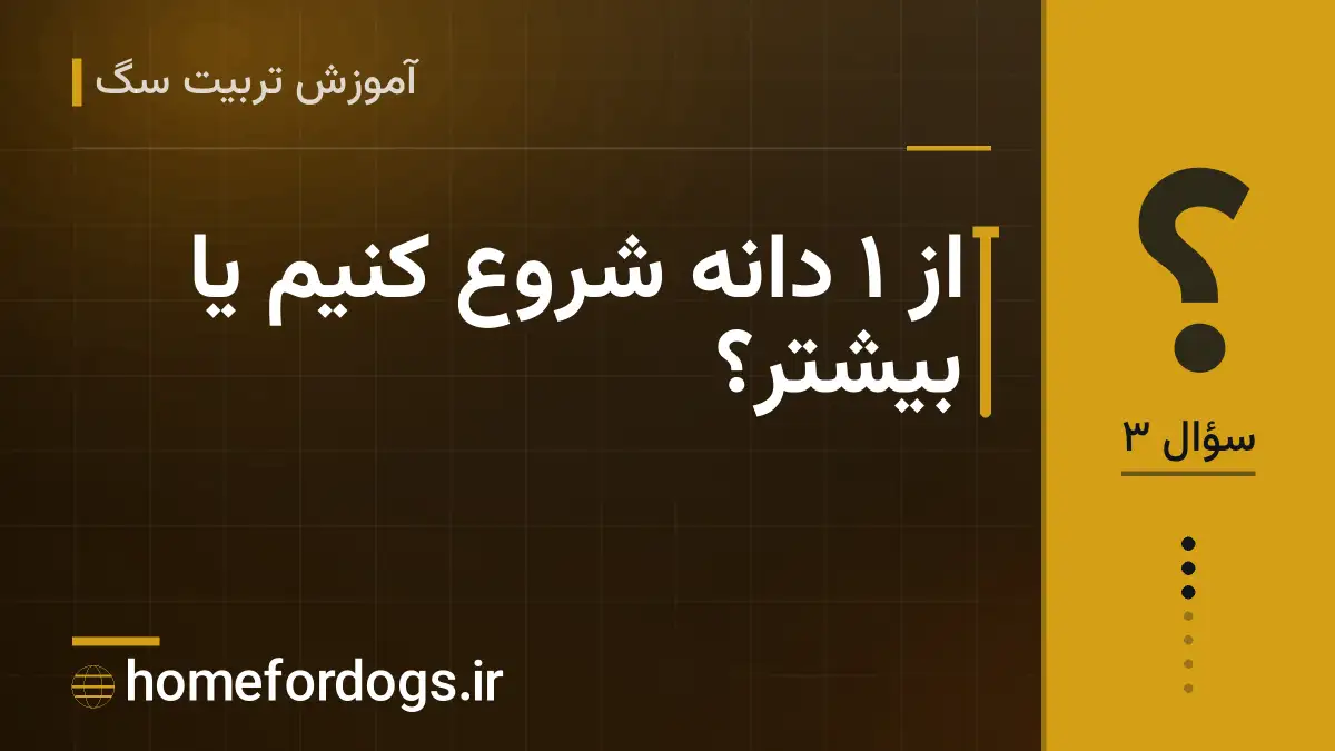 از ۱ دانه شروع کنیم یا بیشتر؟