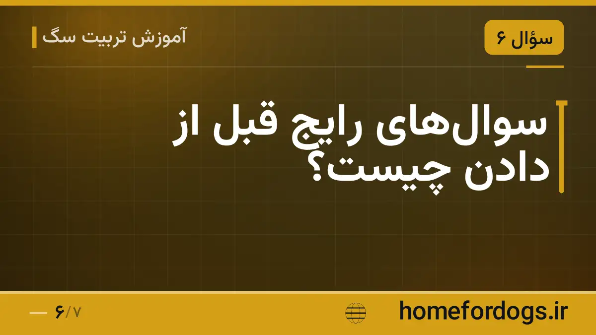 سوال‌های رایج قبل از دادن چیست؟