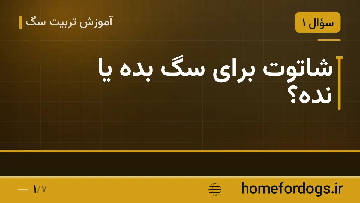 شاتوت برای سگ بده یا نده؟