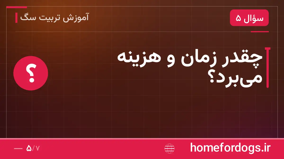 چقدر زمان و هزینه می‌برد؟