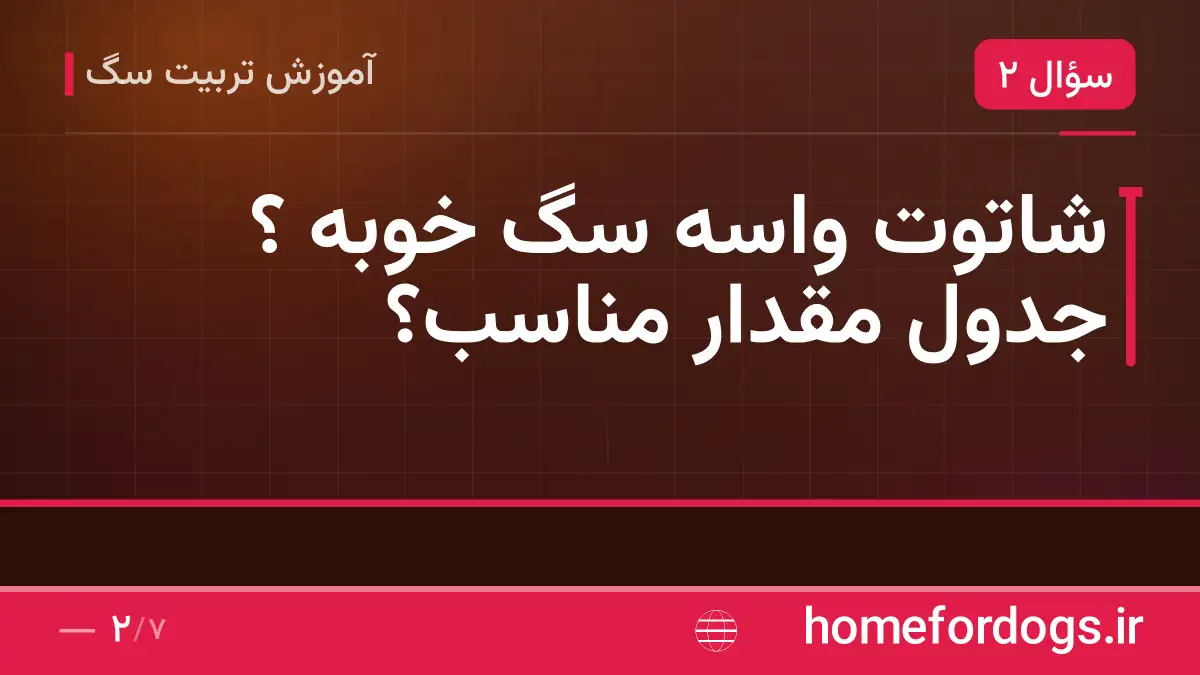 شاتوت واسه سگ خوبه ؟ جدول مقدار مناسب؟