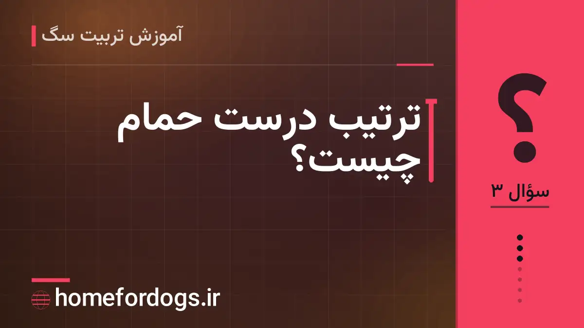 ترتیب درست حمام چیست؟