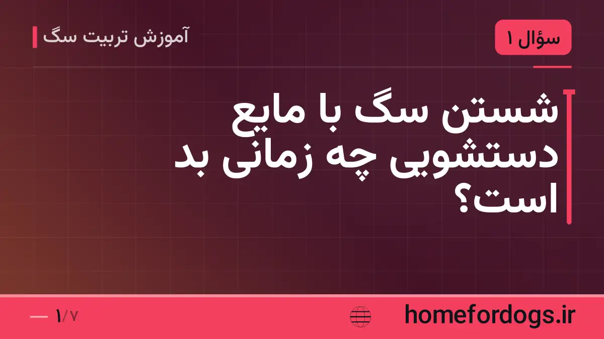 شستن سگ با مایع دستشویی چه زمانی بد است؟