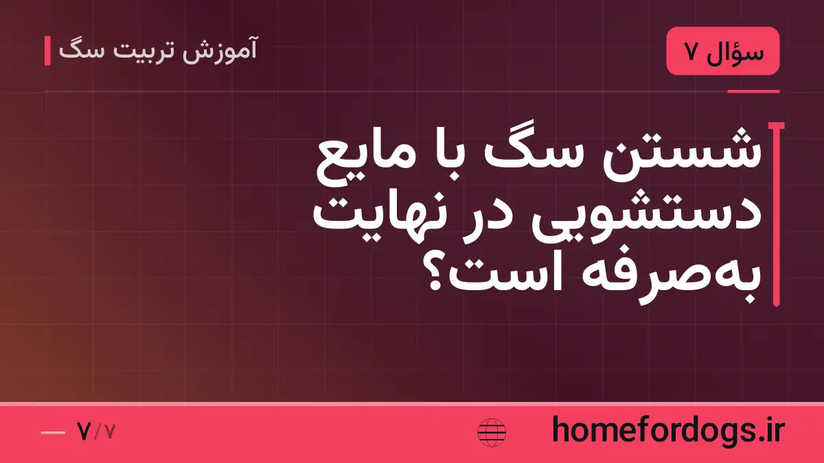 شستن سگ با مایع دستشویی در نهایت بهصرفه است؟