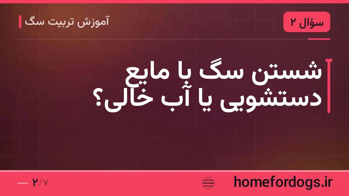 شستن سگ با مایع دستشویی یا آب خالی؟