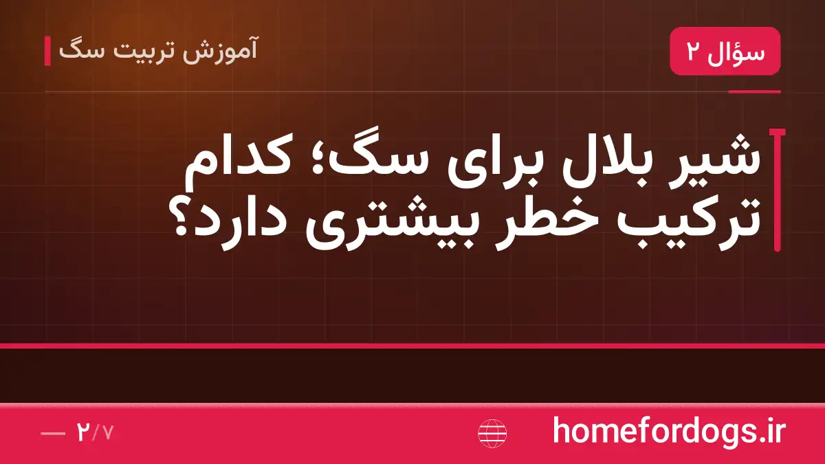 شیر بلال برای سگ؛ کدام ترکیب خطر بیشتری دارد؟