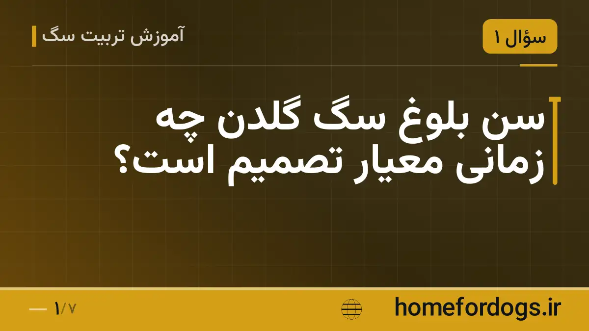 سن بلوغ سگ گلدن چه زمانی معیار تصمیم است؟