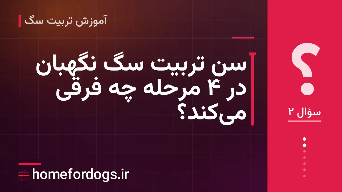 سن تربیت سگ نگهبان در ۴ مرحله چه فرقی می‌کند؟