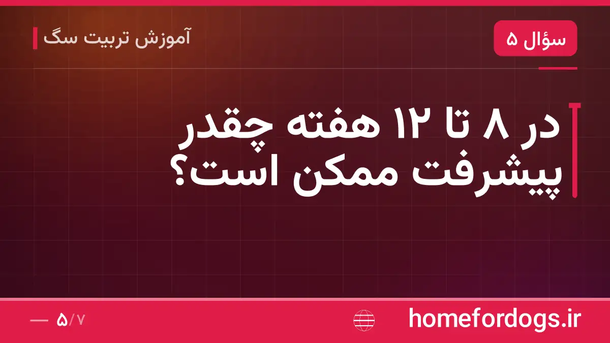 در ۸ تا ۱۲ هفته چقدر پیشرفت ممکن است؟
