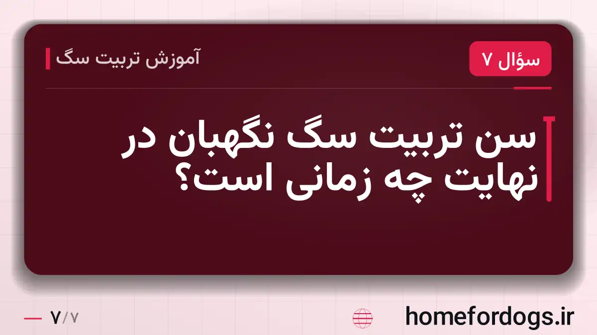 سن تربیت سگ نگهبان در نهایت چه زمانی است؟