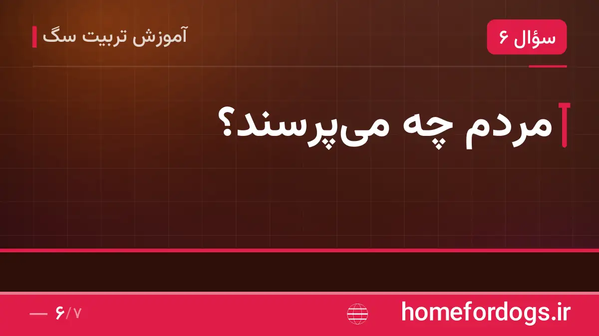 مردم چه می‌پرسند؟
