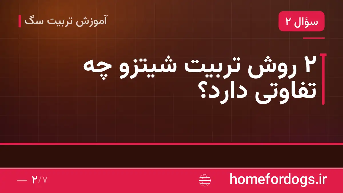 ۲ روش تربیت شیتزو چه تفاوتی دارد؟
